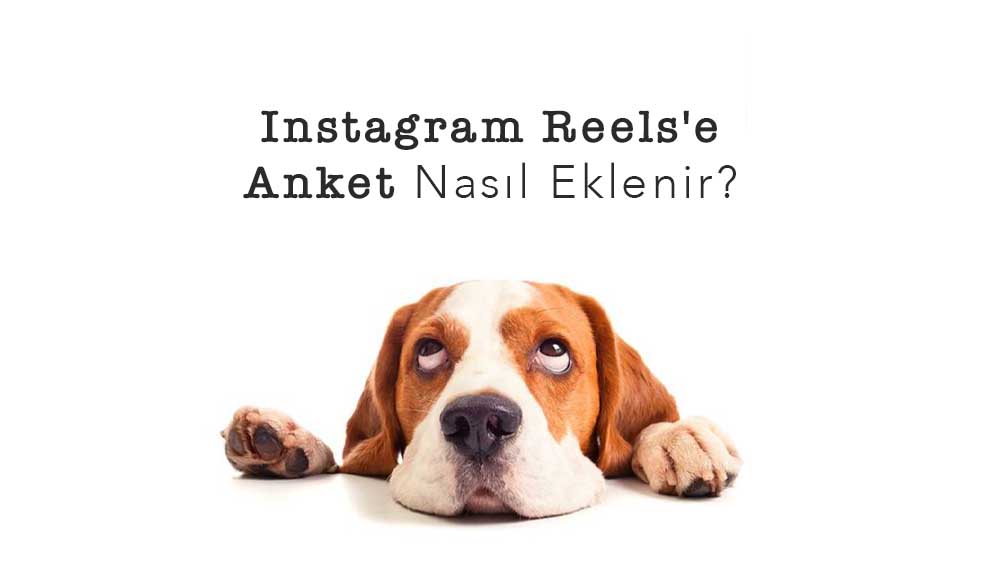 Instagram Reels'e Anket Nasıl Eklenir?