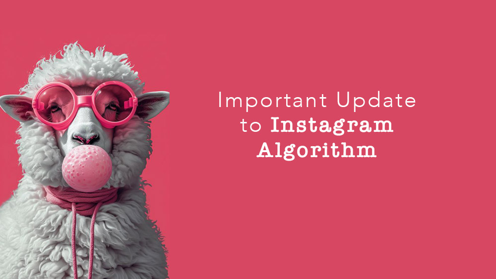 Important Update to Instagram Algorithm