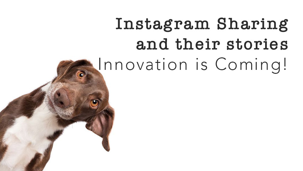 Instagram Hikayelerinde Yenilik!
