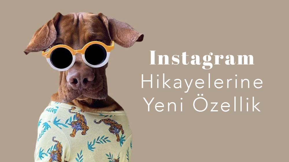 Instagram Hikayelerine Yeni Özellik