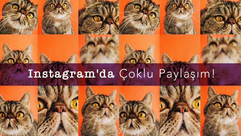 Blog | Instagram'da Çoklu Paylaşım!