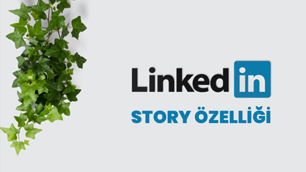 LinkedIn'e Hikaye Özelliği
