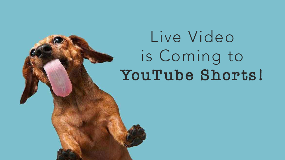 Live Video is Coming to YouTube Shorts!