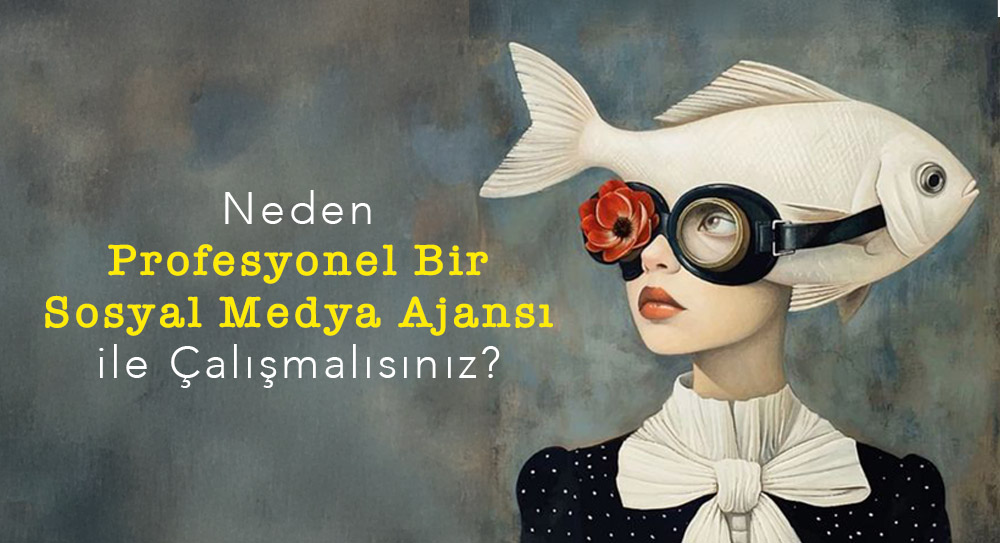 Neden Profesyonel Bir Sosyal Medya Ajansı ile Çalışmalısınız?