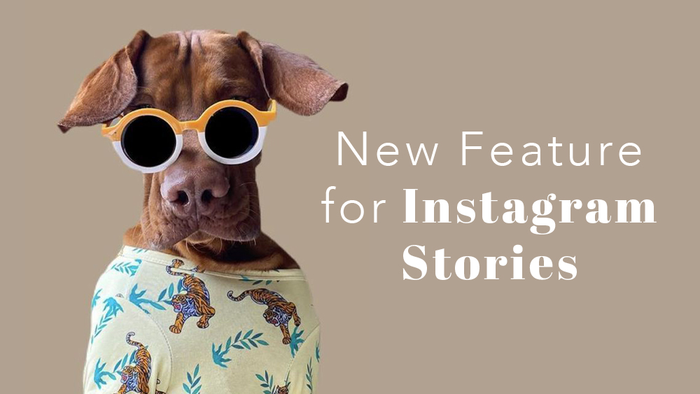 New Feature for Instagram Stories