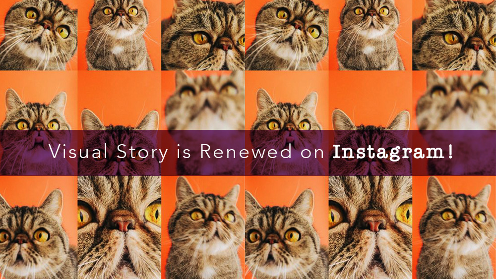 Multiple Sharing on Instagram!
