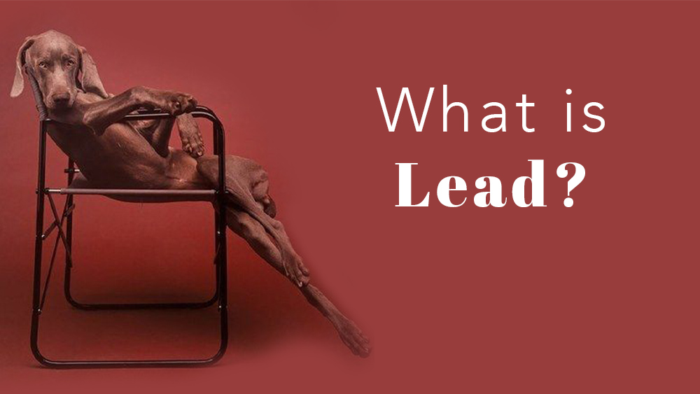 What is Lead?