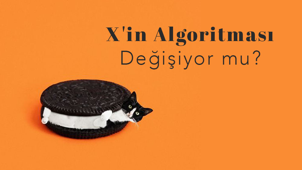 X'in Algoritması Değişiyor mu?