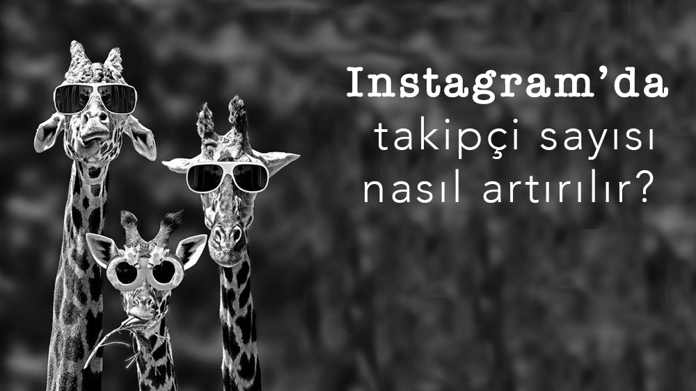 Instagram'da Takipçi Sayısı Nasıl Artırılır?