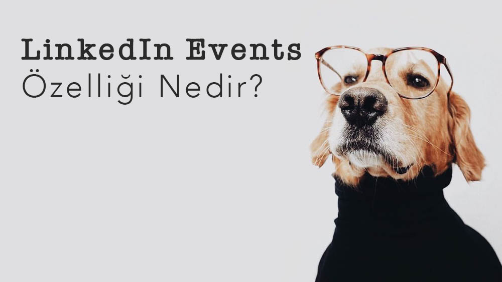 LinkedIn Events Özelliği Nedir?