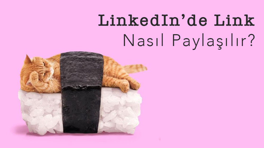 LinkedIn'de Link Nasıl Paylaşılır?