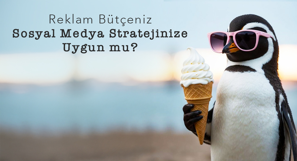 Reklam Bütçeniz Sosyal Medya Stratejinize Uygun mu?