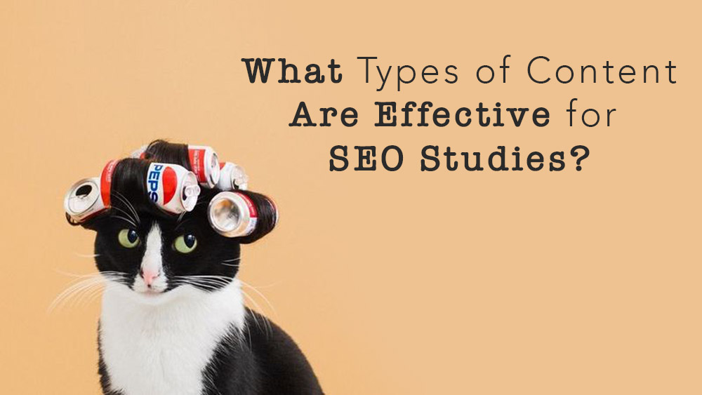 What Types of Content Are Effective for SEO Studies?